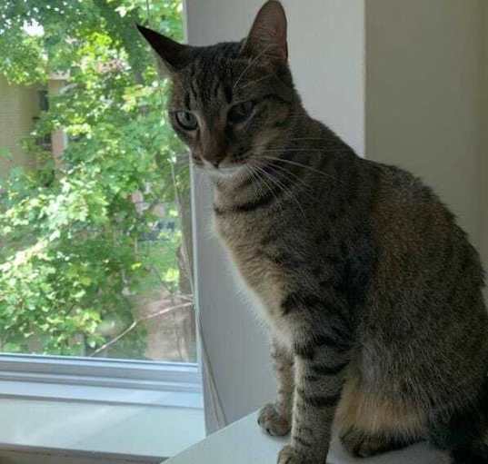 Photo of Sammie