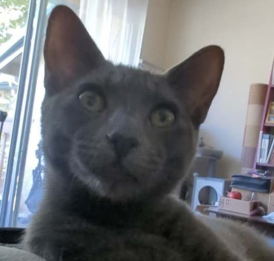 Photo of Silver