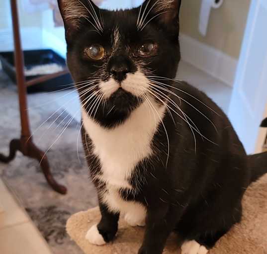 Photo of Minnie