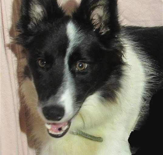 Photo of Lexi