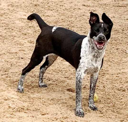 Photo of TILLIE