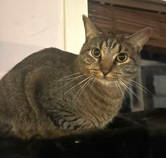 Photo of Fergus S