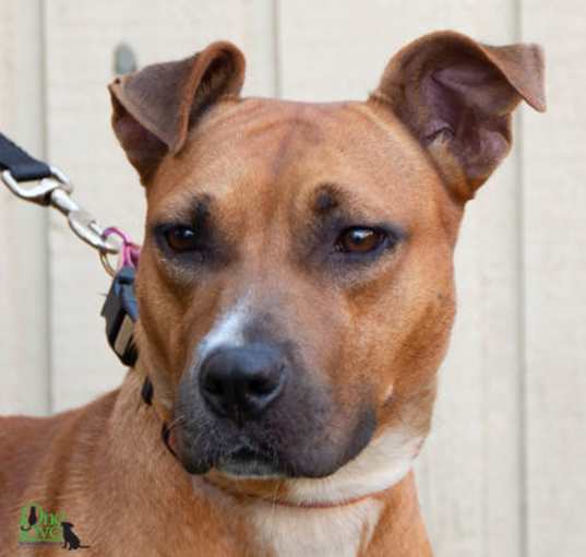 Photo of Carla