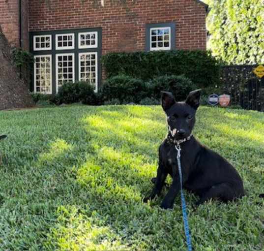 Photo of Buster