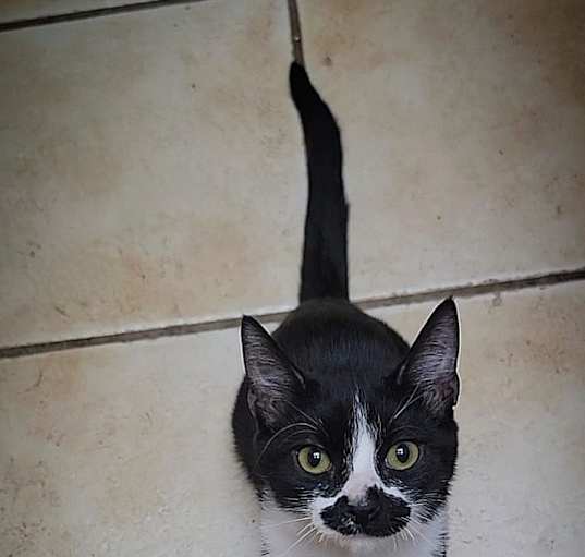 Photo of Patty
