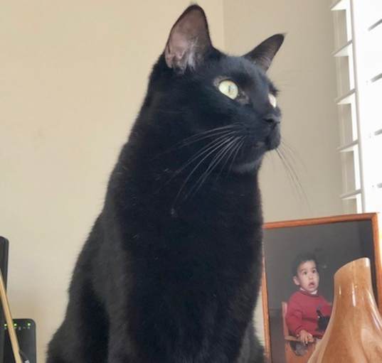 Photo of Luca