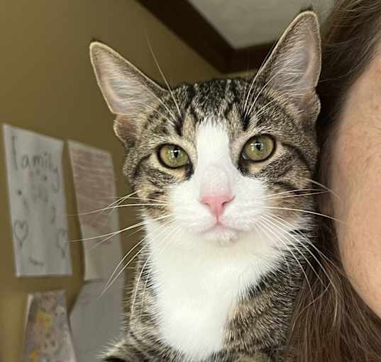 Photo of Clover