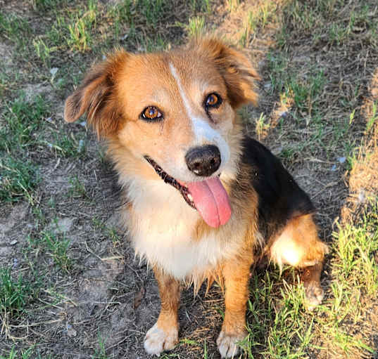 Photo of LuLu