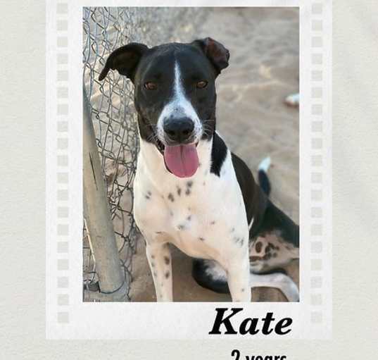 Photo of Kate