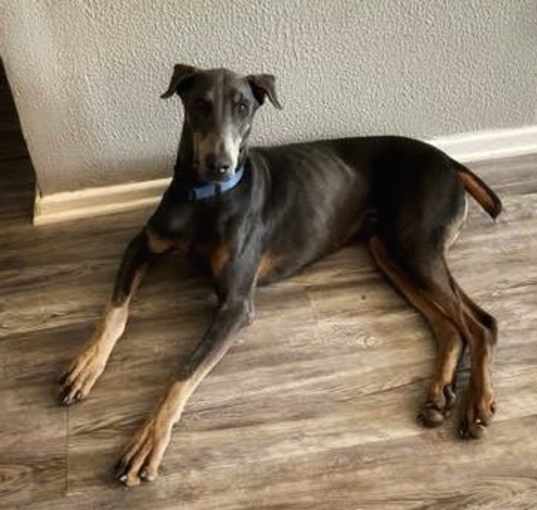 Photo of Max