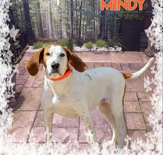 Photo of Mindy