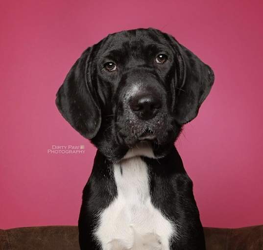Photo of Ruby
