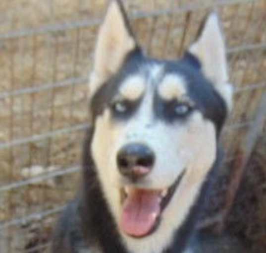 Photo of Dottie