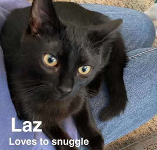 Photo of Laz PT