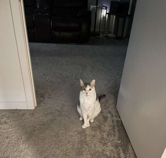 Photo of Stormi
