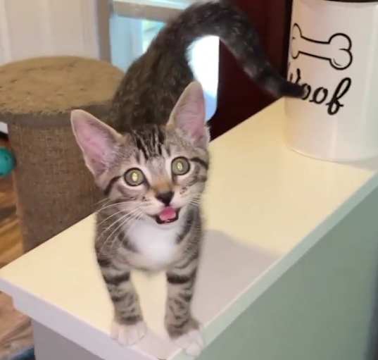 Photo of Fiona
