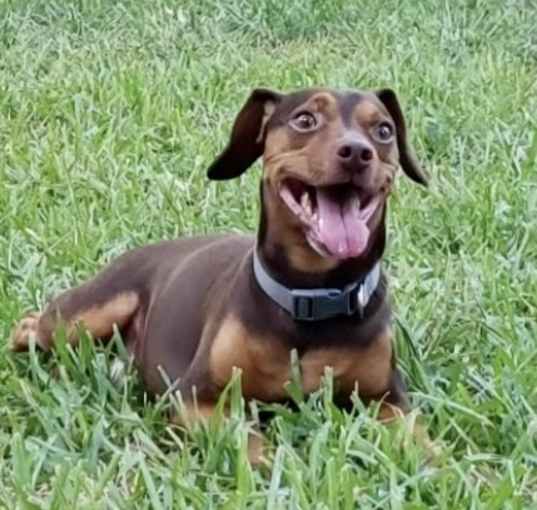 Photo of COCO