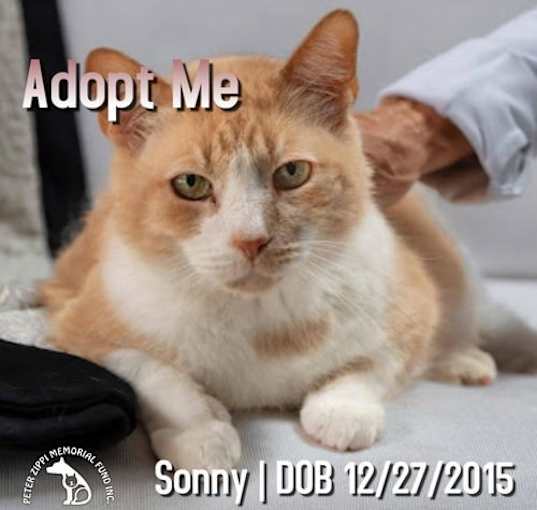 Photo of Sonny