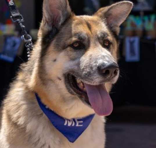 Photo of Sammy
