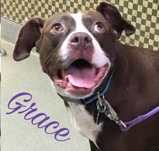 Photo of Grace