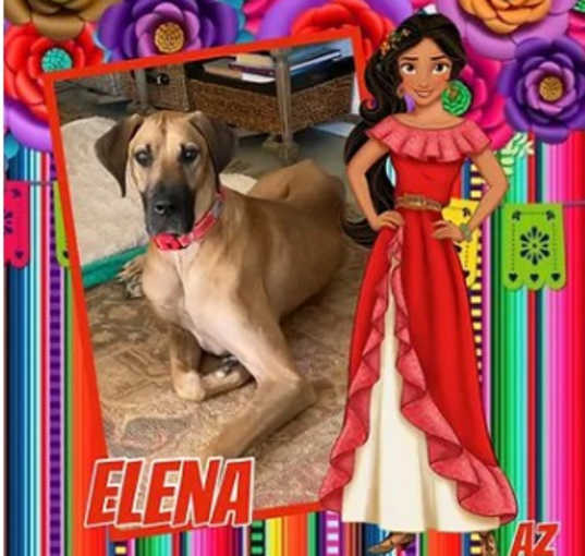 Photo of Elena