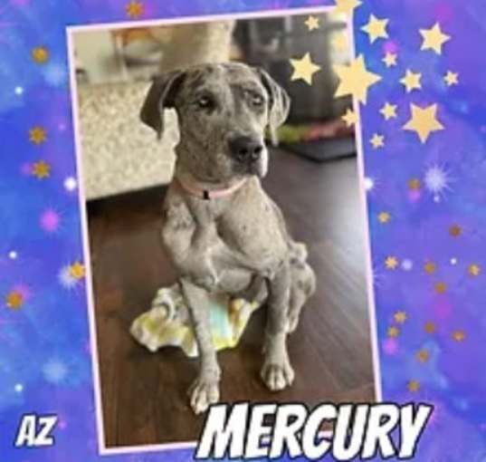 Photo of Mercury