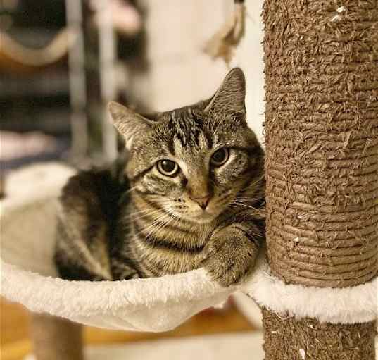 Photo of Freya