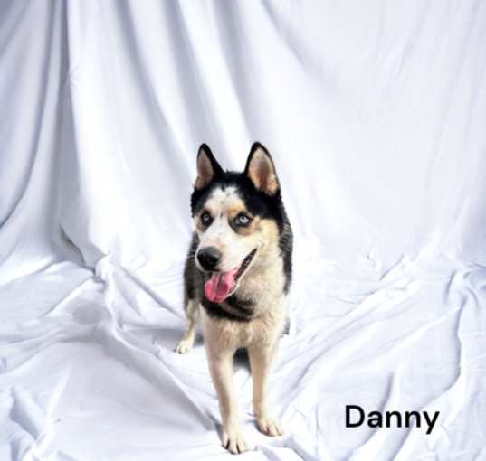 Photo of Danny