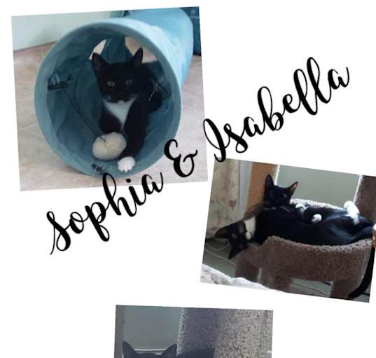 Photo of Isabella & Sophia