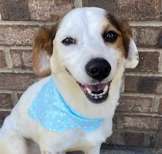 Photo of Lily