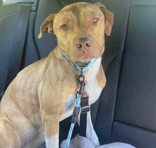 Photo of Vinnie