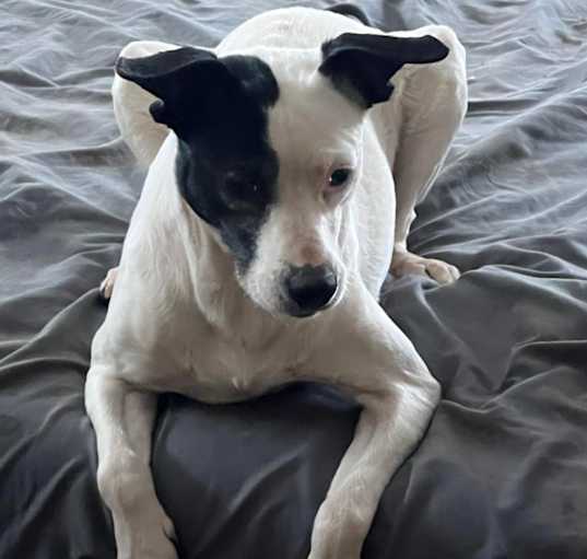 Photo of Minnie