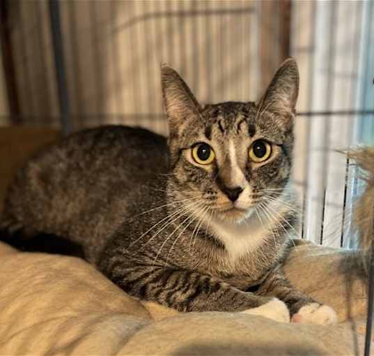 Photo of Bootsie