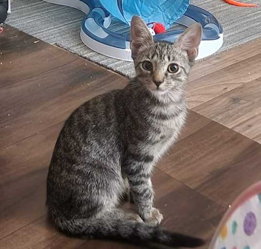 Photo of Marty