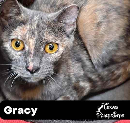 Photo of Gracy