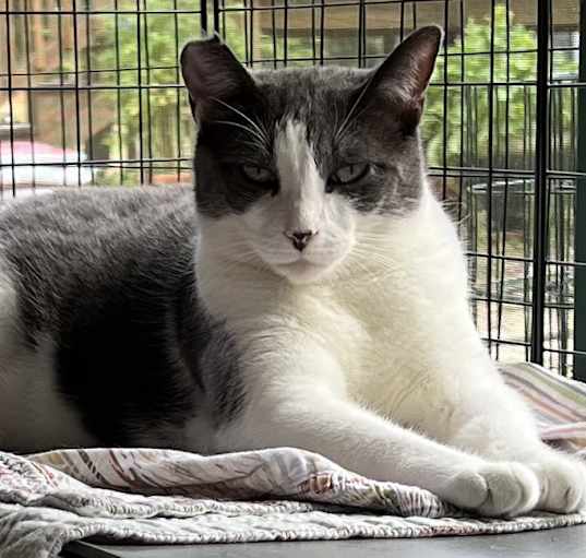 Photo of Tommy
