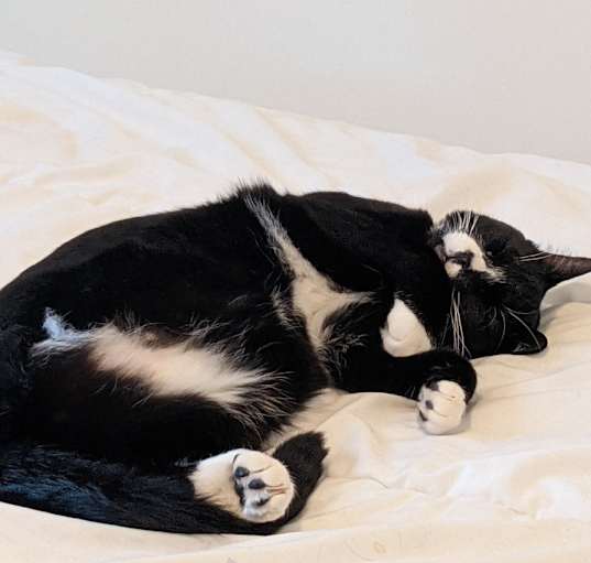 Photo of Trix