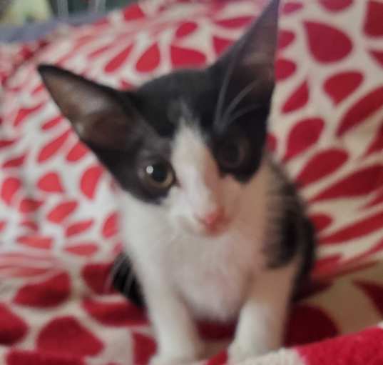 Photo of Caoimhe