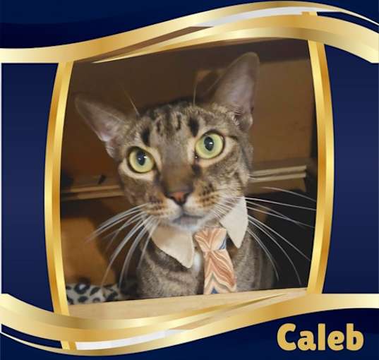 Photo of Caleb