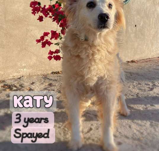 Photo of Katy