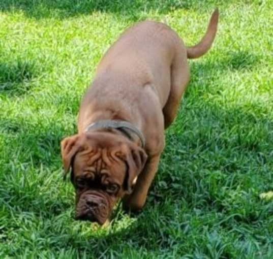 Photo of Rupert