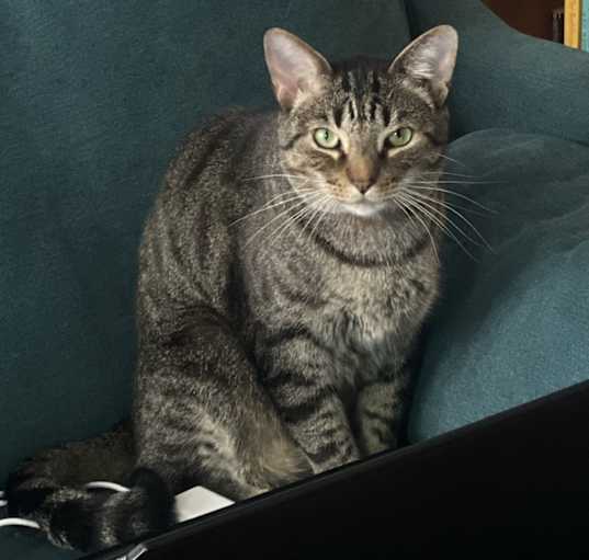 Photo of Lover Boy