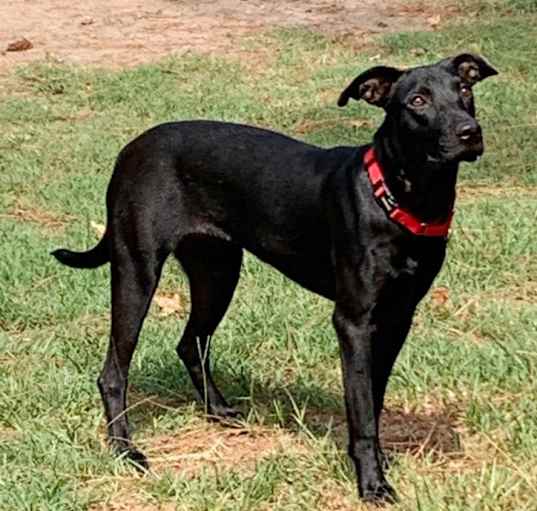Photo of LAYLA