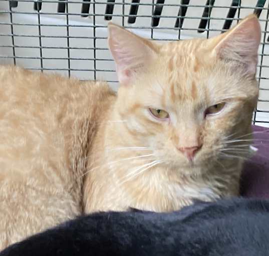 Photo of Biff