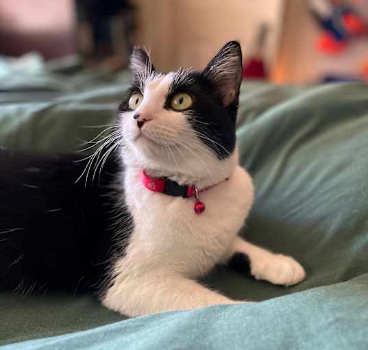 Photo of Phoebe Ann