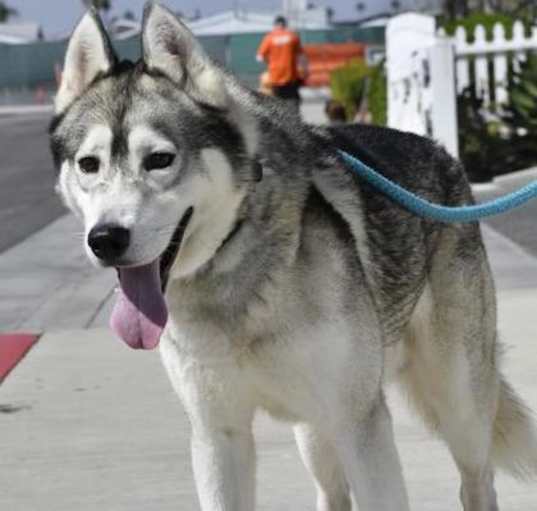 Photo of DAKOTA