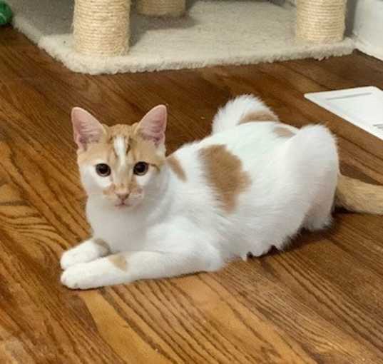 Photo of Paulie
