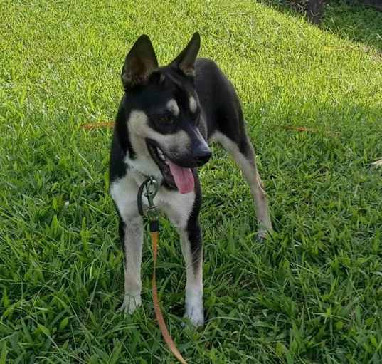 Photo of Jasmine