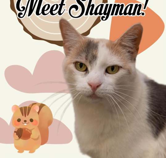 Photo of Shayman
