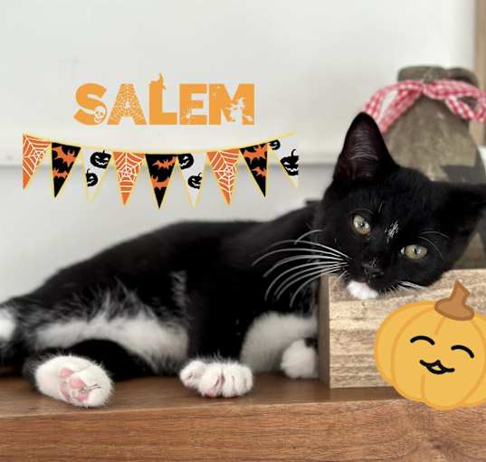 Photo of Salem